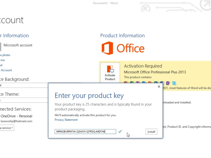 Microsoft Office 2013 Professional Plus license key
